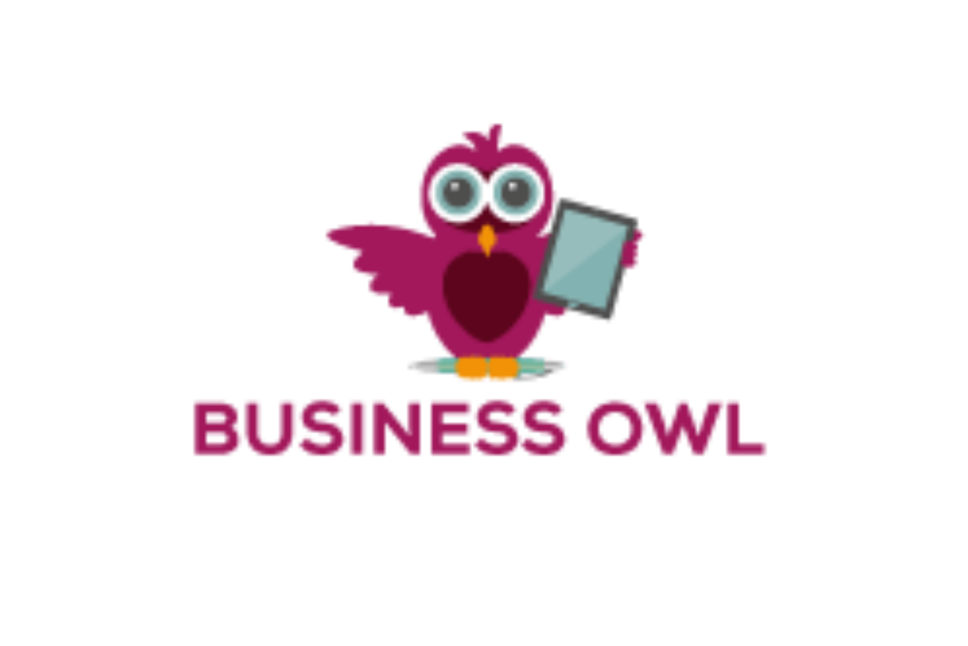 Business Owl 2